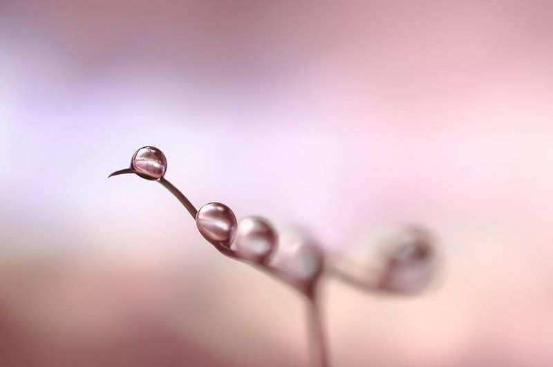 -- фото превью