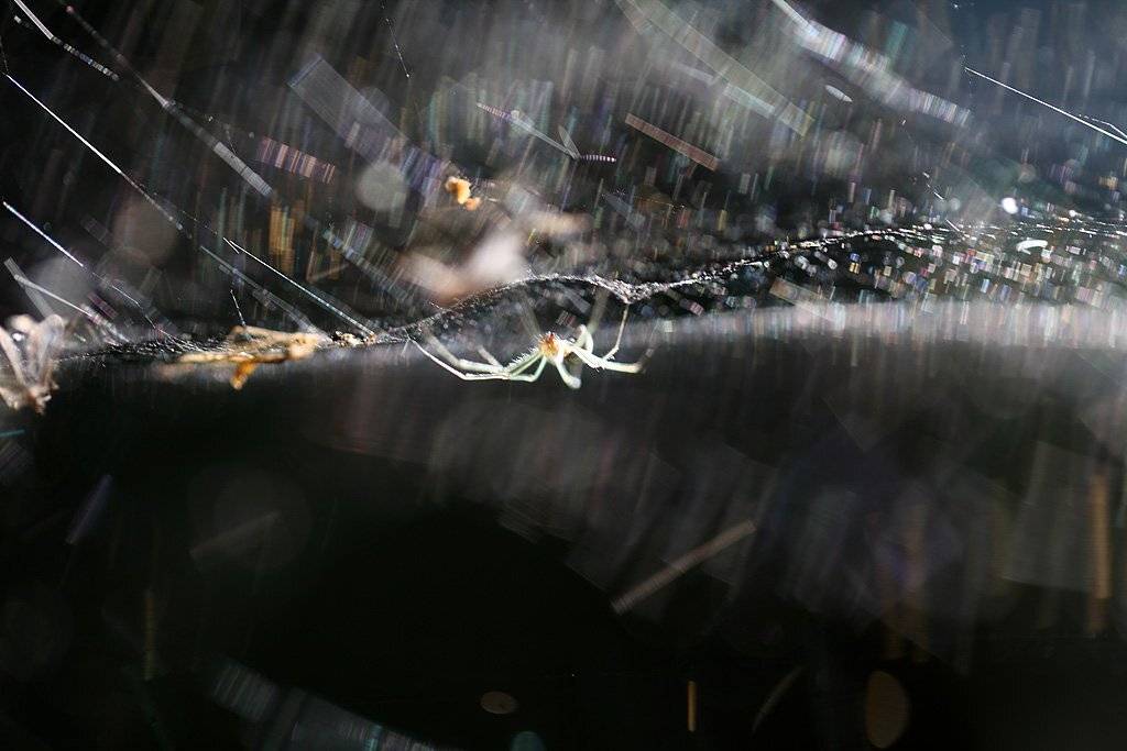 , Сергей Таланов