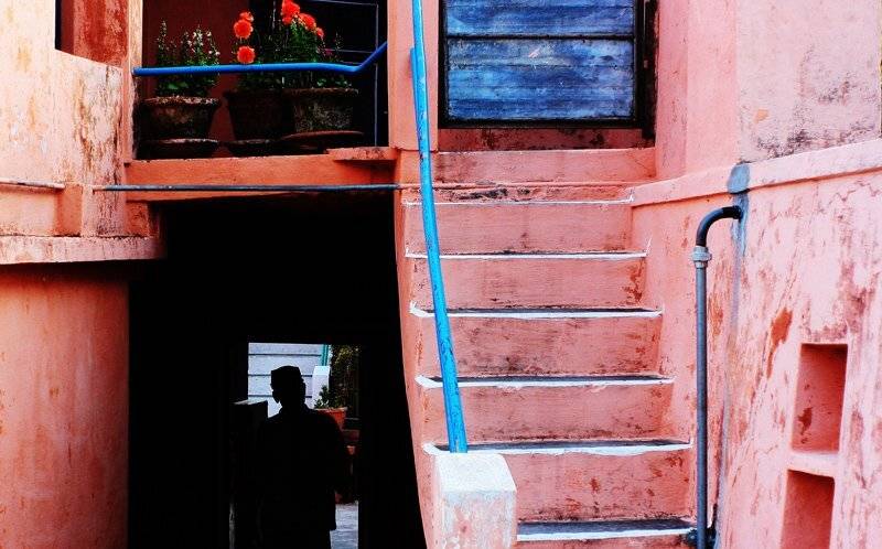 Человек, nelenin