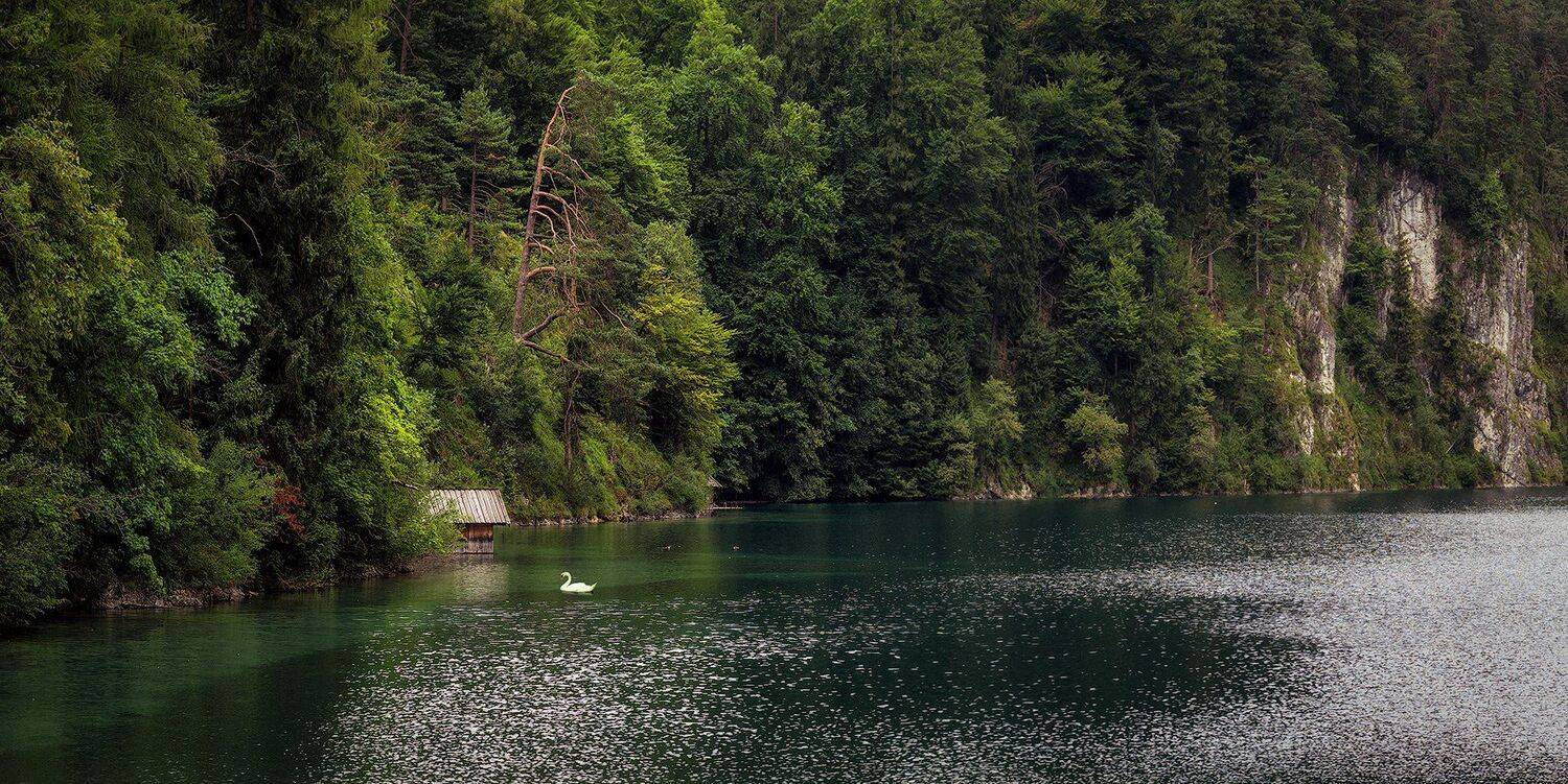 , Игорь Мелекесцев