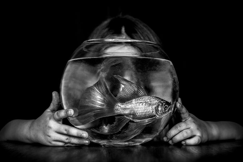 ч/б, портрет, рыба Девочка и рыбка фото превью