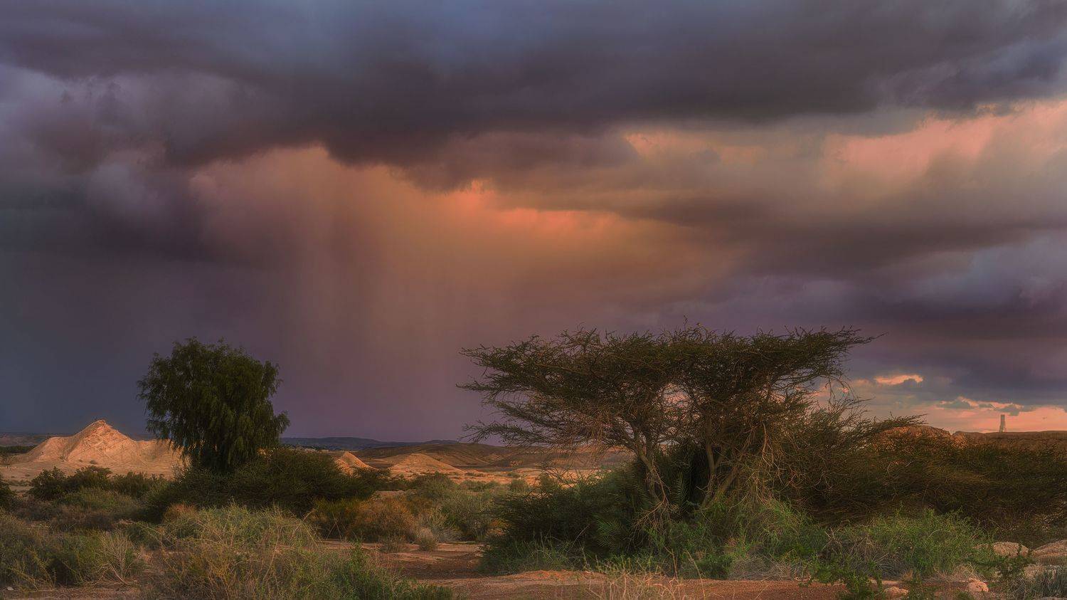 , Евгений Шварцман