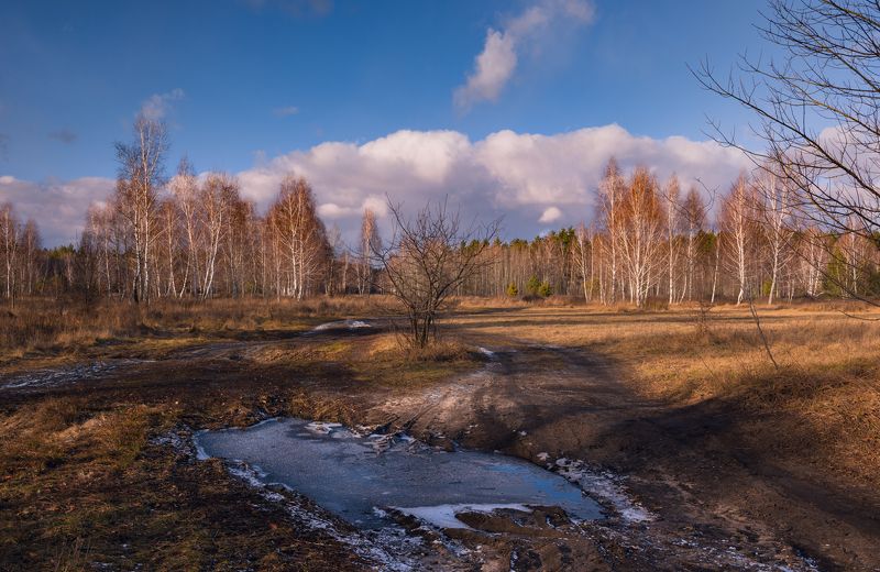 луг зима январь лужи  тучи закат Оттепель в Рождество фото превью