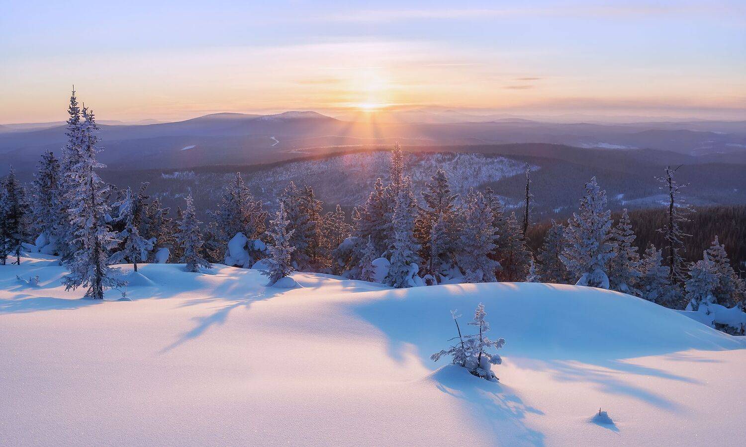 , Лещёнок Александр