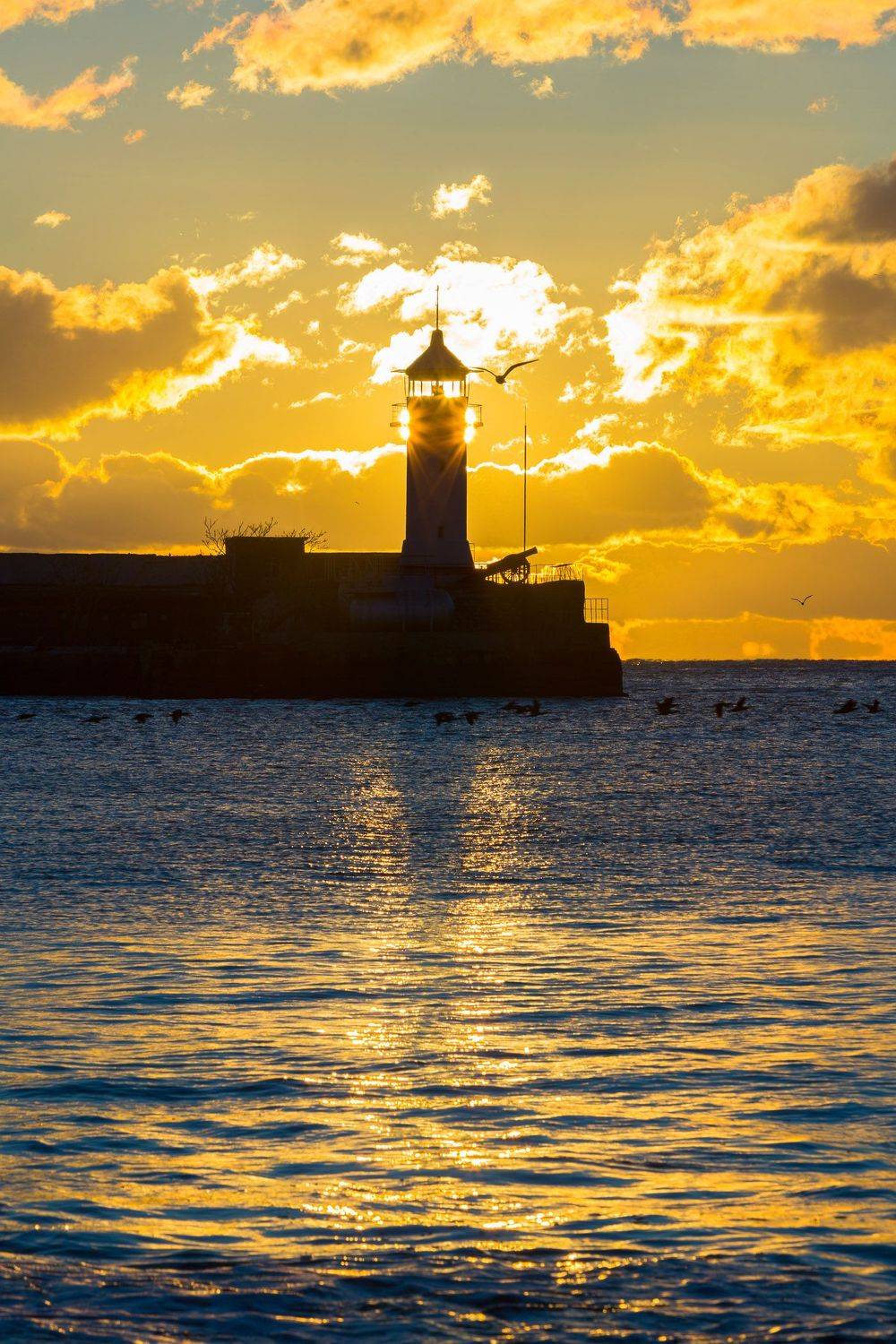 ялтинский залив, ялта, набережная, крым, набережная, черное море, ялтинский маяк, маяк, набережная ленина, лебеди, лебеди в ялте, Serge Titov