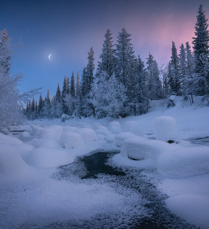 север, кольский, лес, зима, река Зимняя сказка фото превью