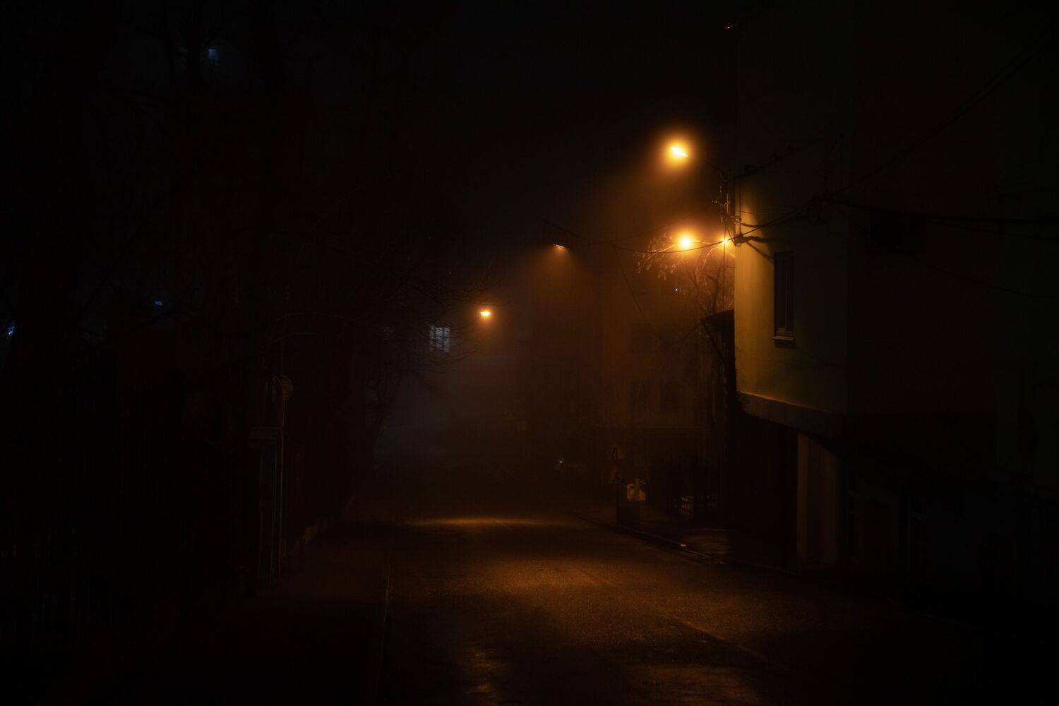 , Евгения Журавлева