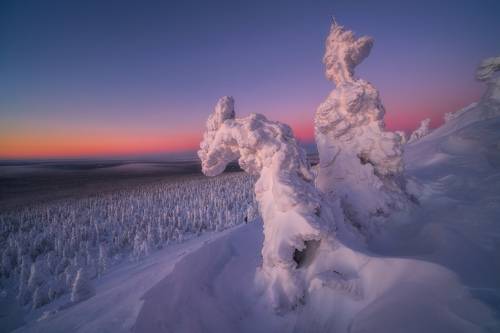 Колчимский стражник