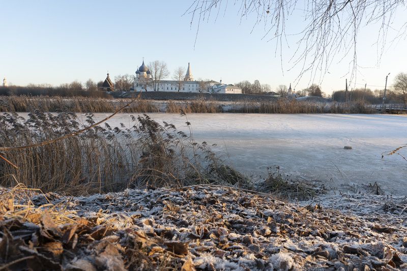 259 фото превью