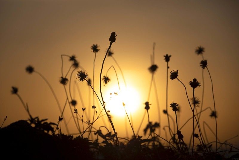 Sunset фото превью