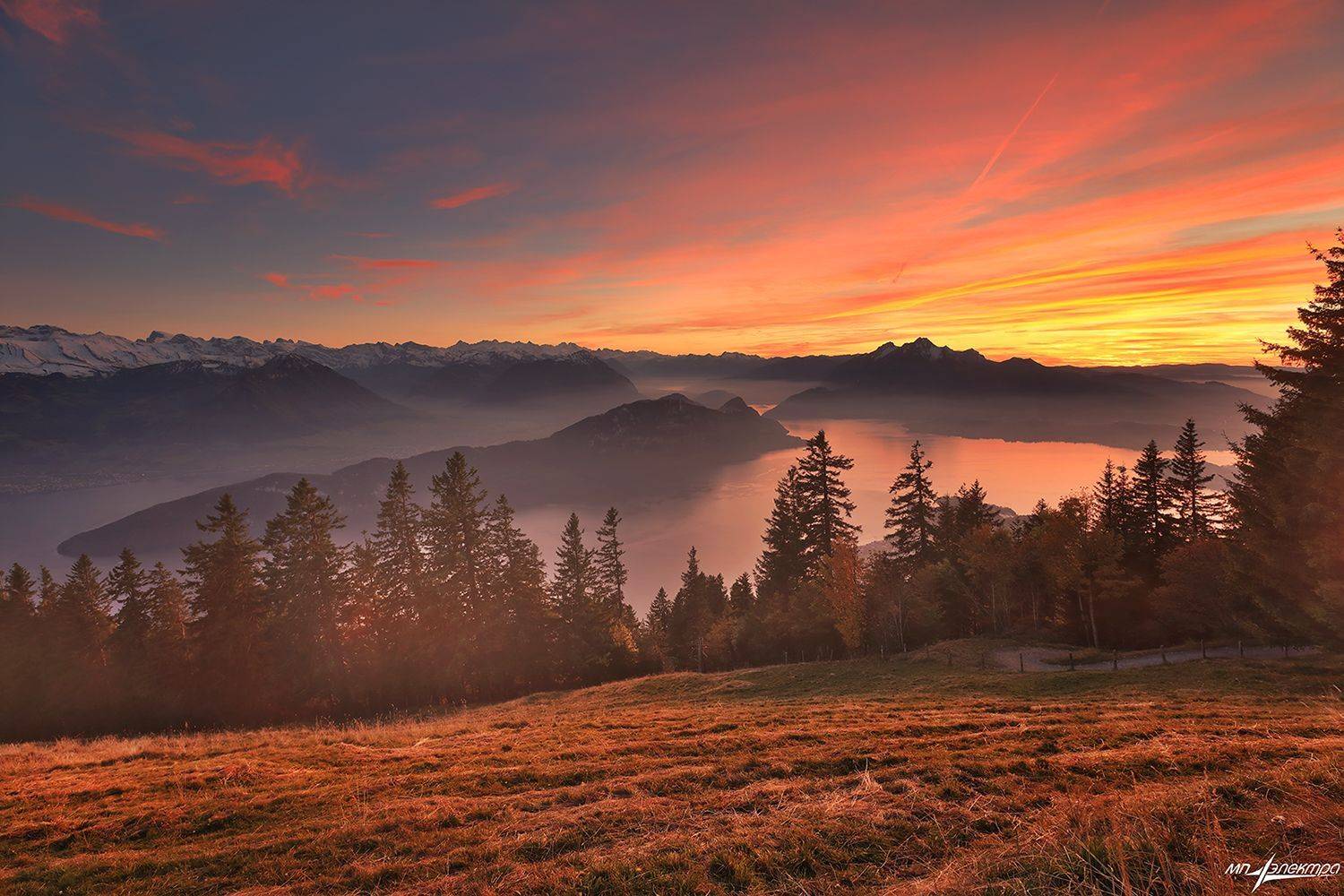 swiss, Матвеев Николай