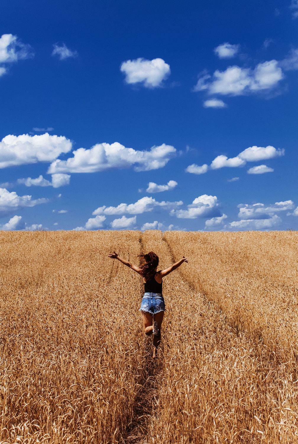 , Виталий Шевченко