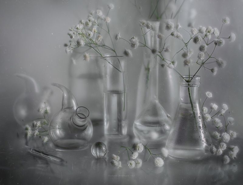 МИР* фото превью