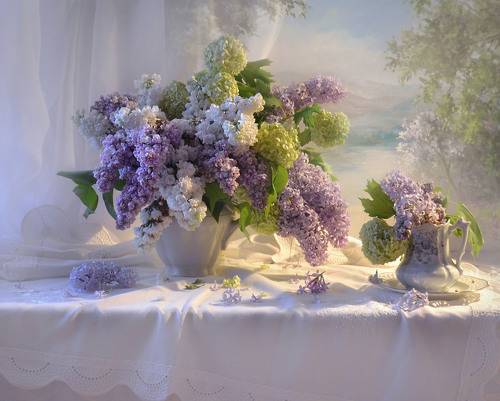 Весна с кружевами сирени...