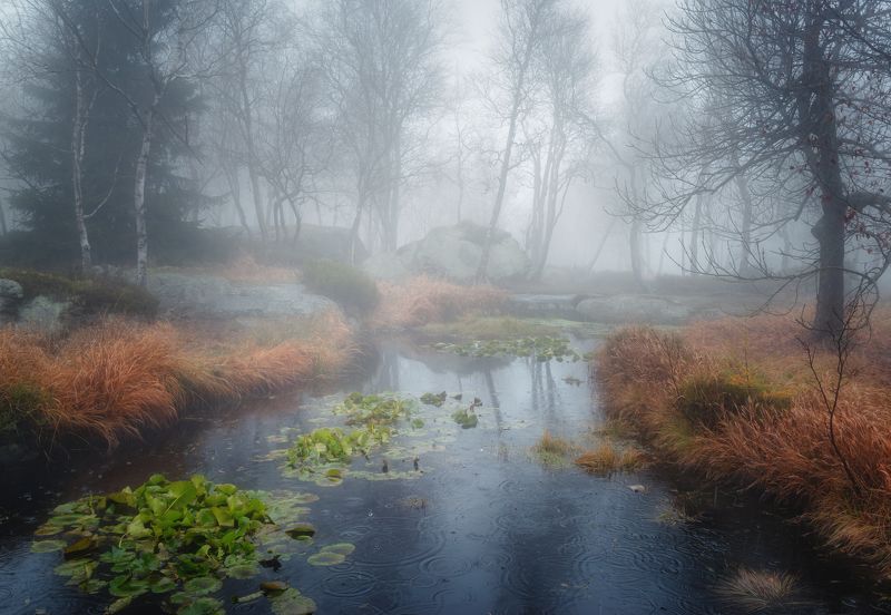 Горизонтальный  Нет людей  Фотография  На улице  Природа  Вода  Дерево  Спокойная сцена  Красота в природе  Небо  Живопись - Природа  День  Спокойствие  Туман  Отражение  Лес  Пейзаж - Пейзажи  Негородская сцена  Утро  Идиллический Туманное утро. фото превью