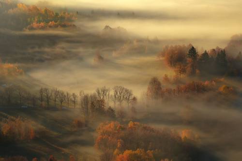 An Autumn's Tale...