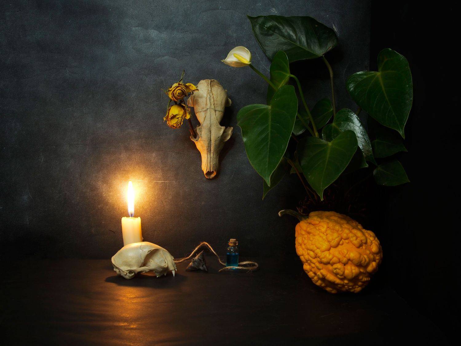 , Димитър Стоянов