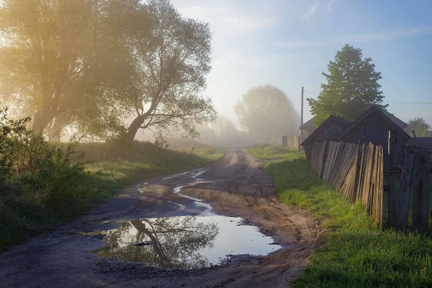 утро туман  серково состояние восход, Дмитрий Алексеев