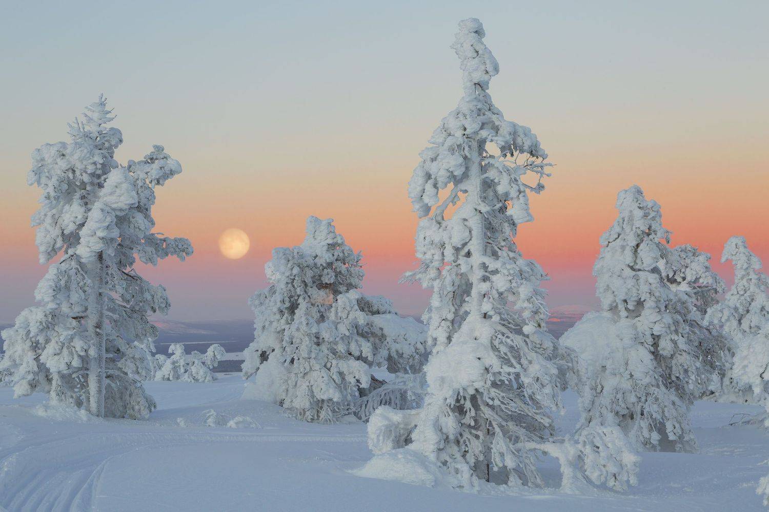Фототуры с Владимиром Рябковым, Кольский, #topnature #russpasibo #magic_shots #lovelyRussia #sunset_vision #exclusive_sky  #exclusive_shots #loves_russia2 #photoarena_nature #nature_sultans #nature_perfection #rsa_sky #rsa_sunset #photorussia #rsa_naturep, Владимир Рябков