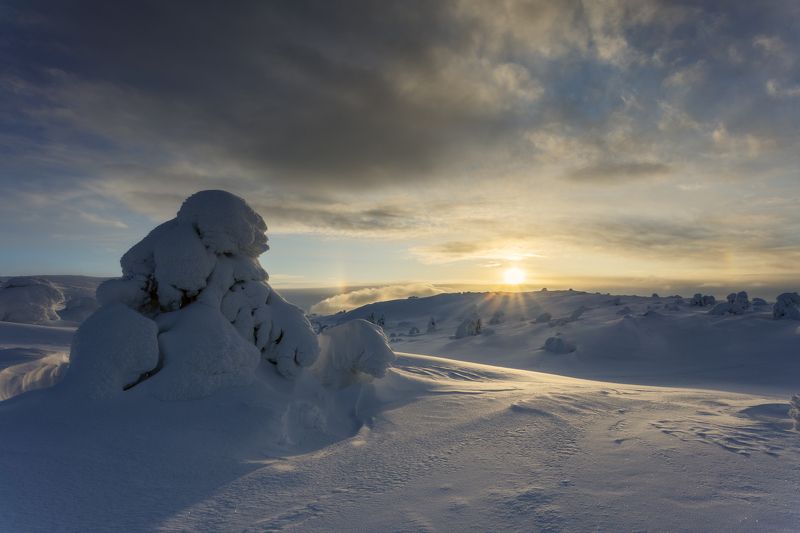 Заполярье фото превью