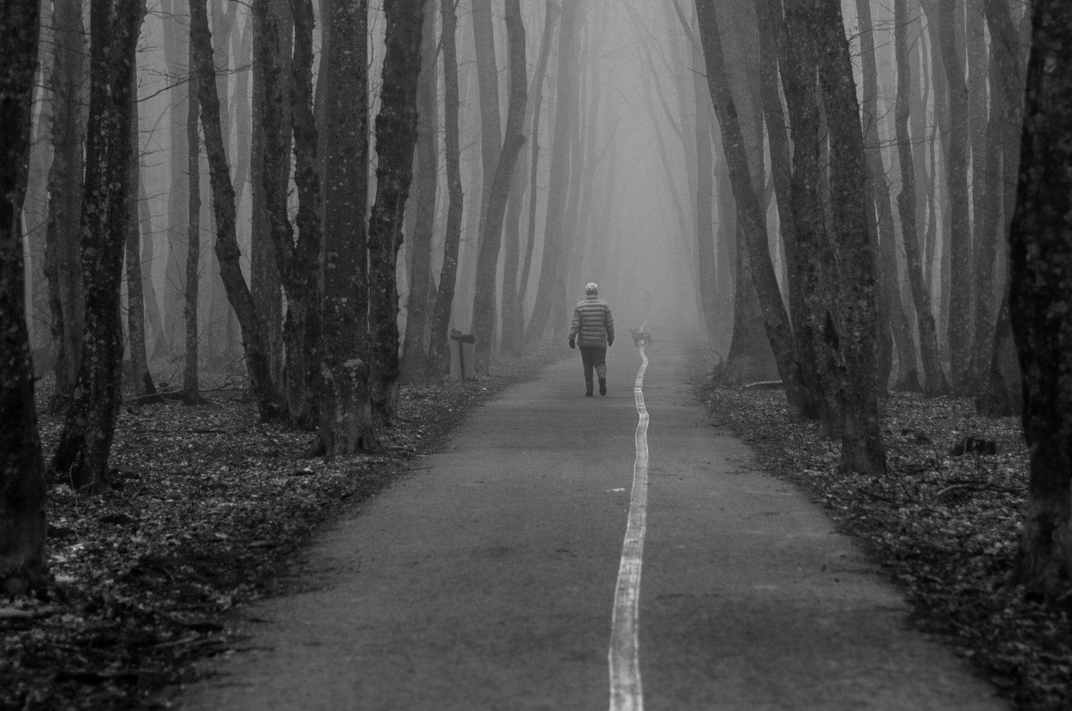 , Виталий Маслов