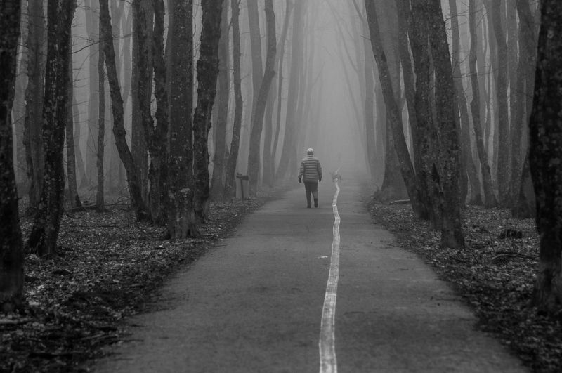 На прогулке фото превью