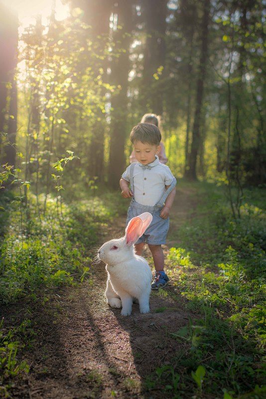 фото превью