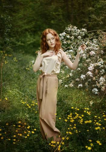 Цветущая яблоня