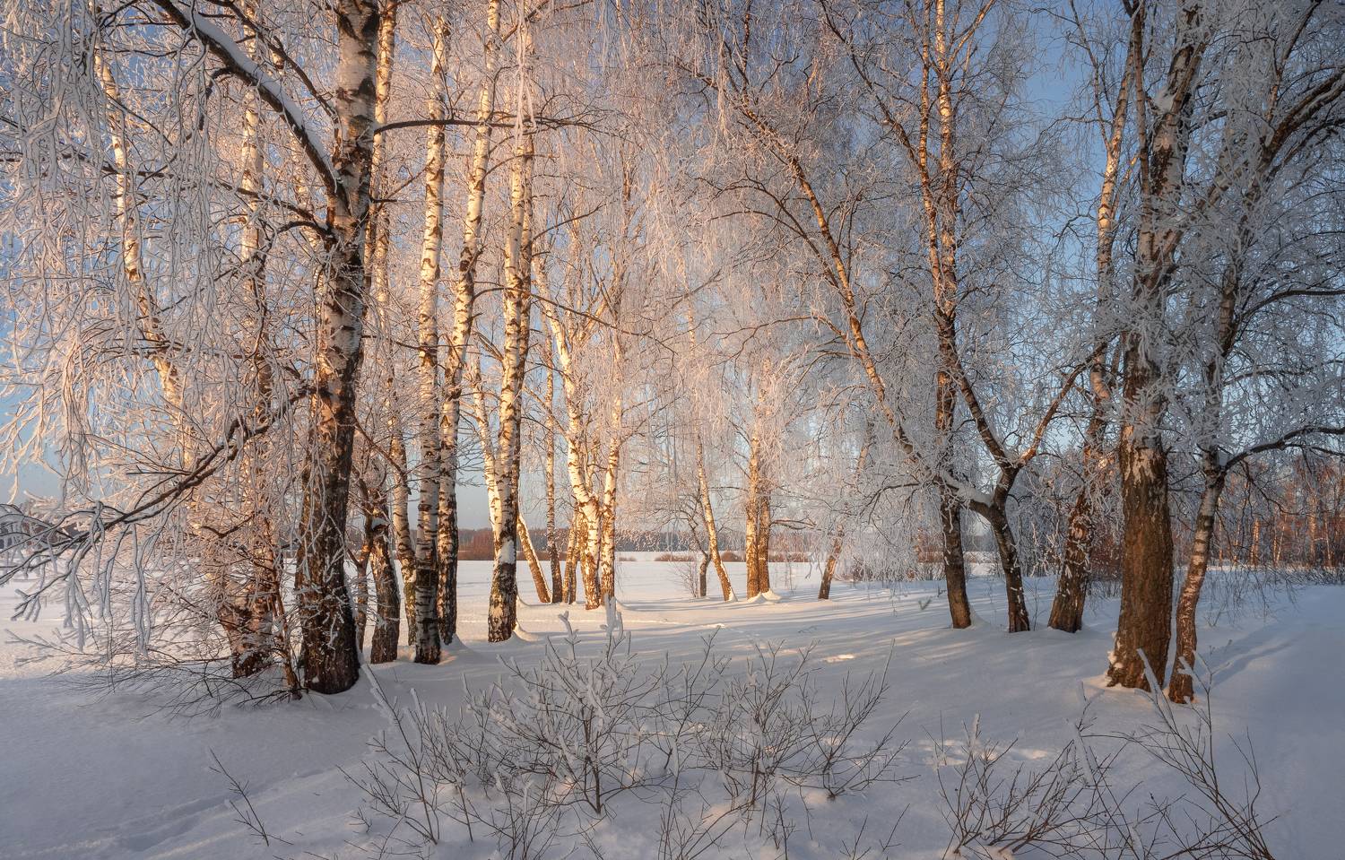 , Мозжухин Максим