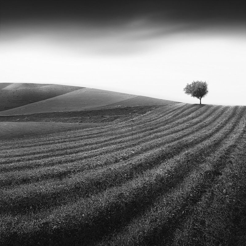 Scratched фото превью