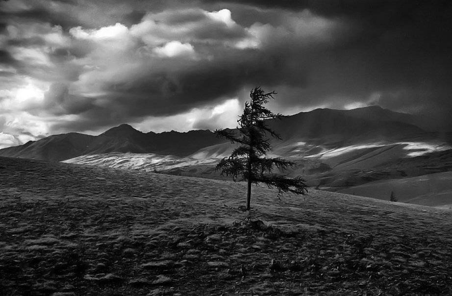 , Павел Мартюшев