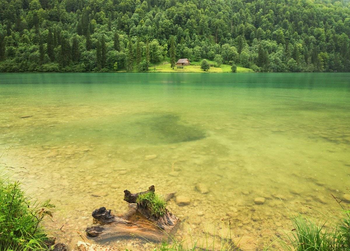 , Александр Удовиченко