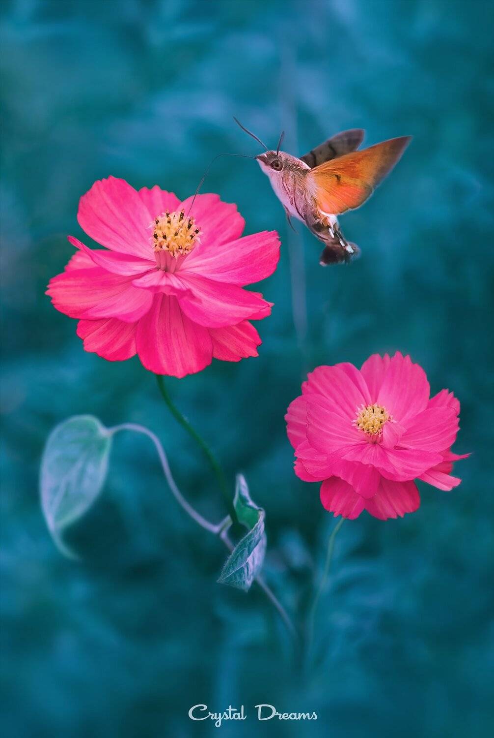 , Татьяна Крылова