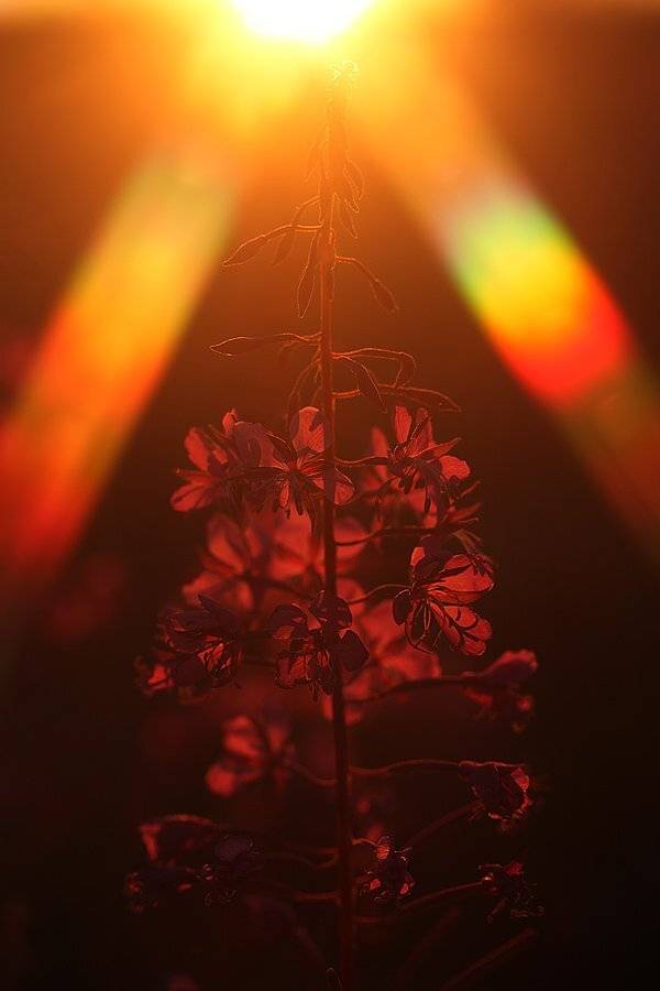 , Сергей Таланов