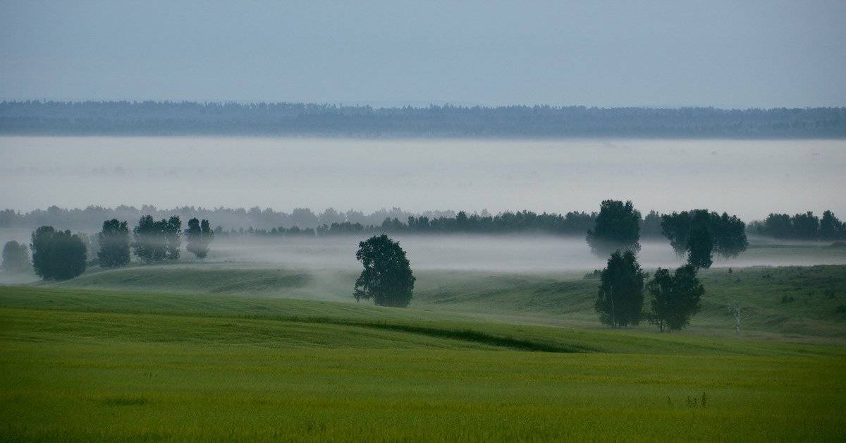 , Николай Морский