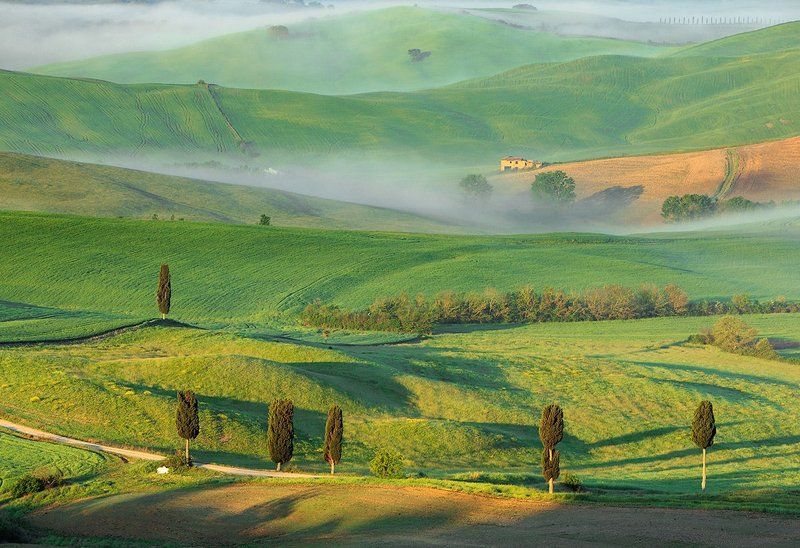 Fields фото превью