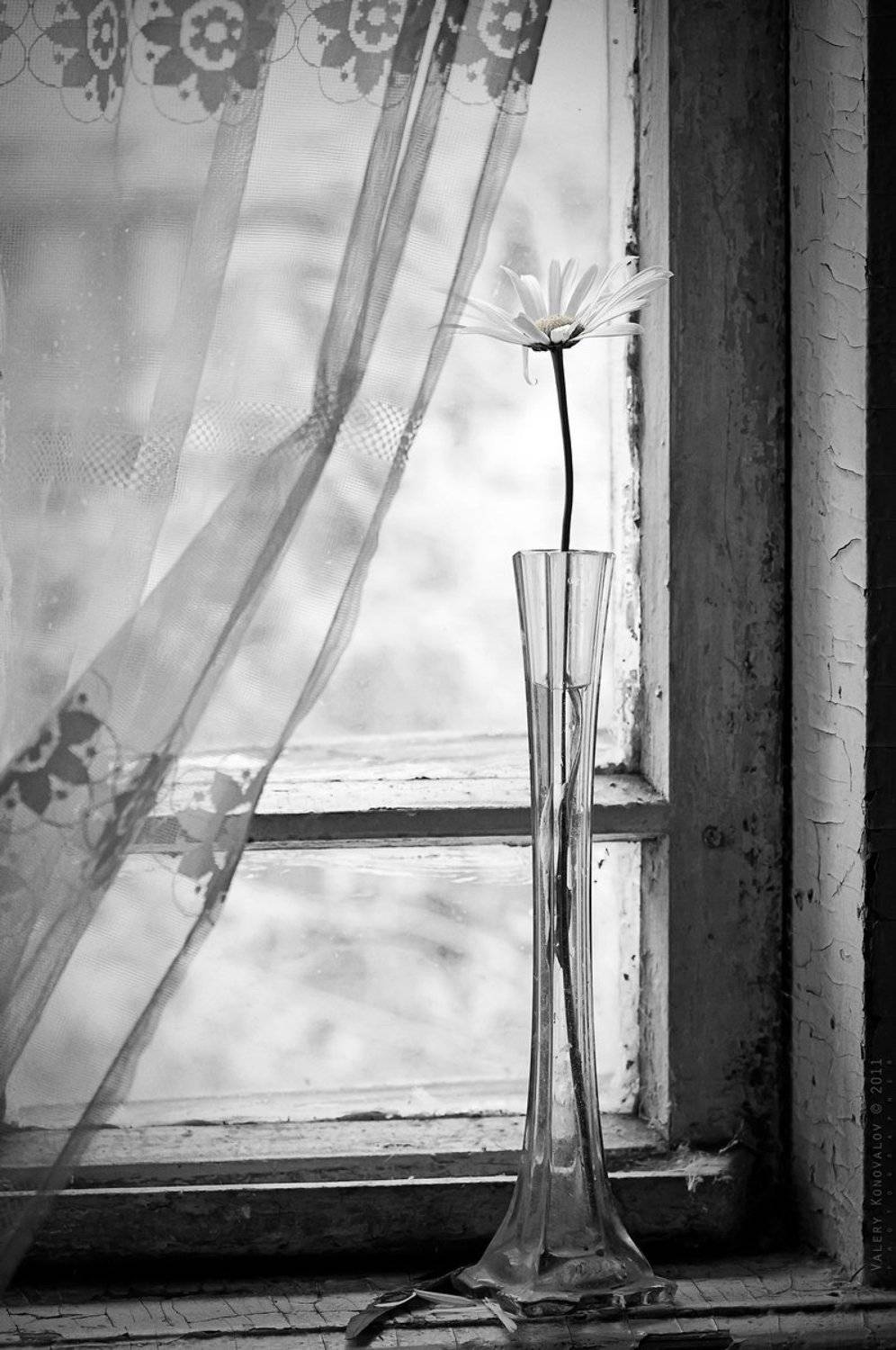 , Валерий Коновалов