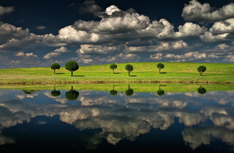 * * * фото превью