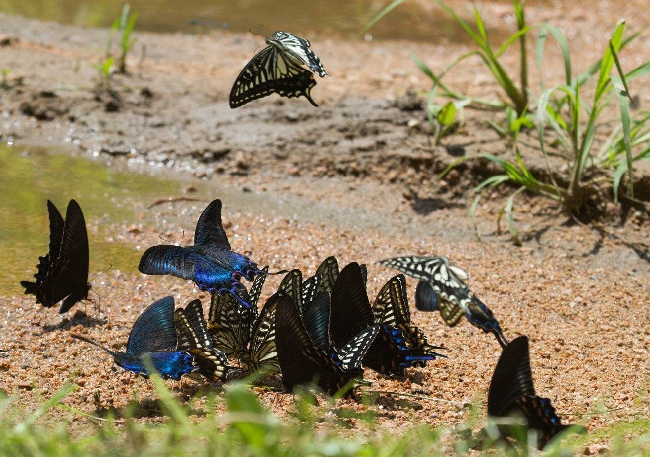 , Евгений Слободской