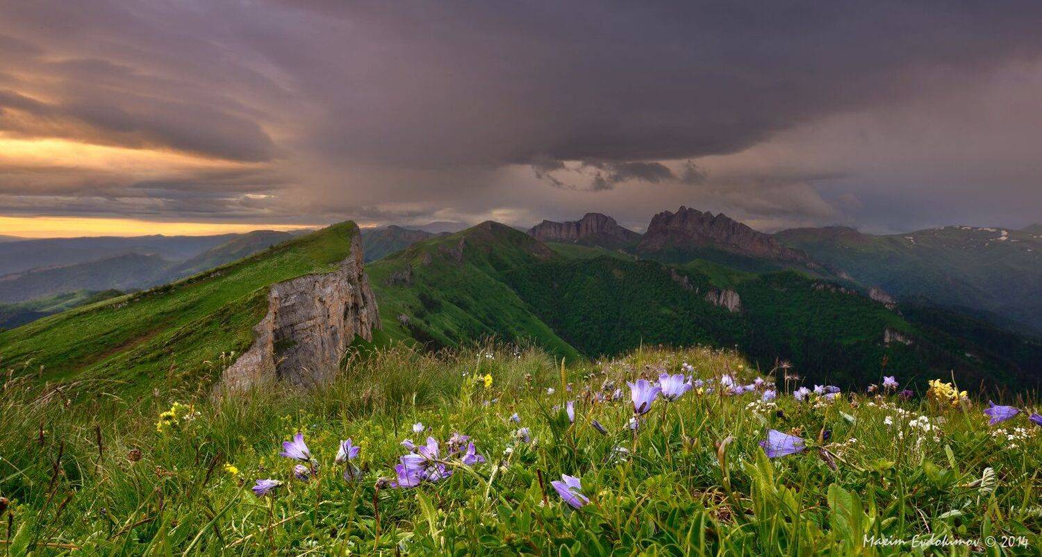 , Максим Евдокимов