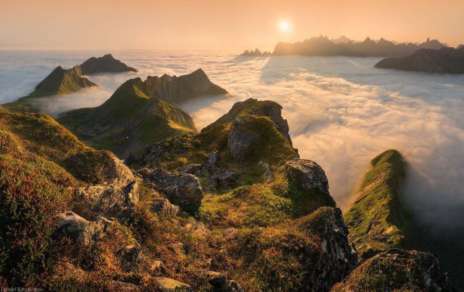 Сеня, Даниил Коржонов