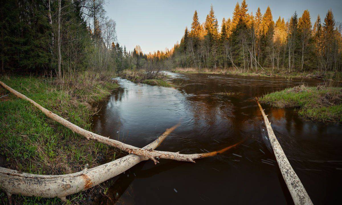 , Хохряков Николай