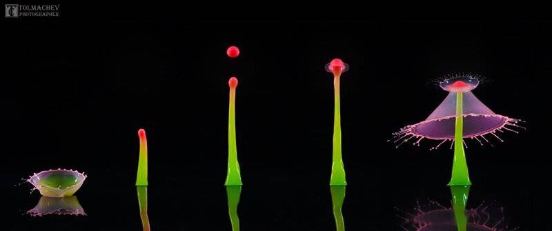 Брызги, Вода, Всплеск, Жидкость, Капли, Каплимакро, Сергей Толмачев