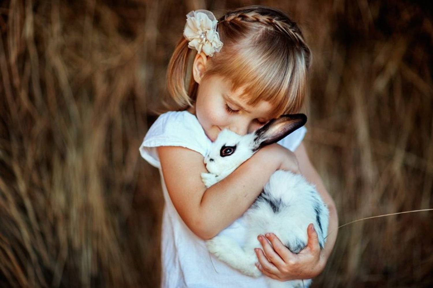 , Гернович Елена