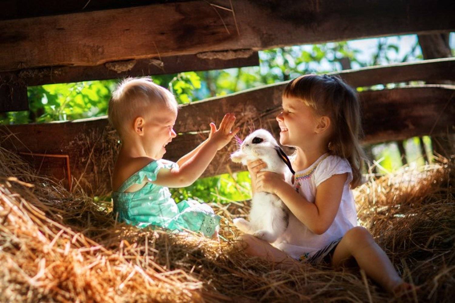 , Гернович Елена