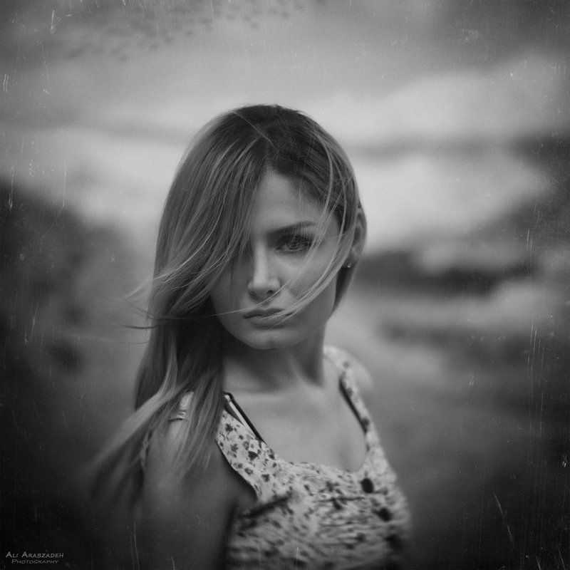 Polaris фото превью