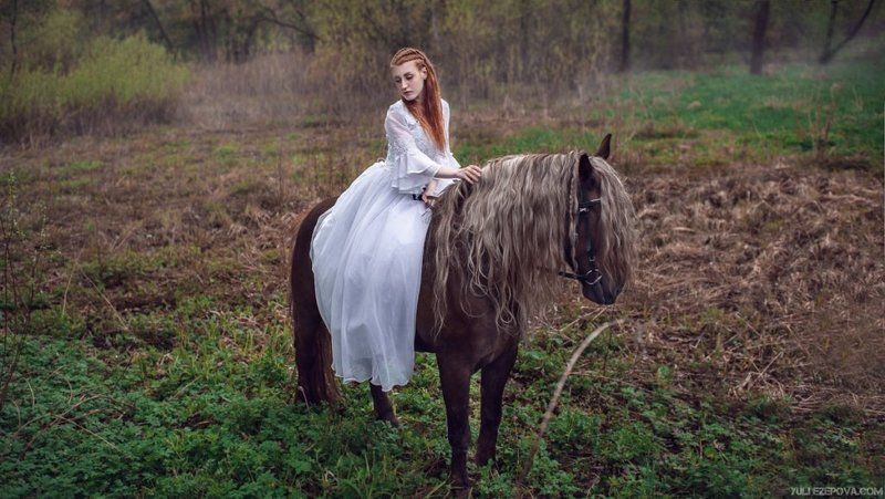 brik фото превью