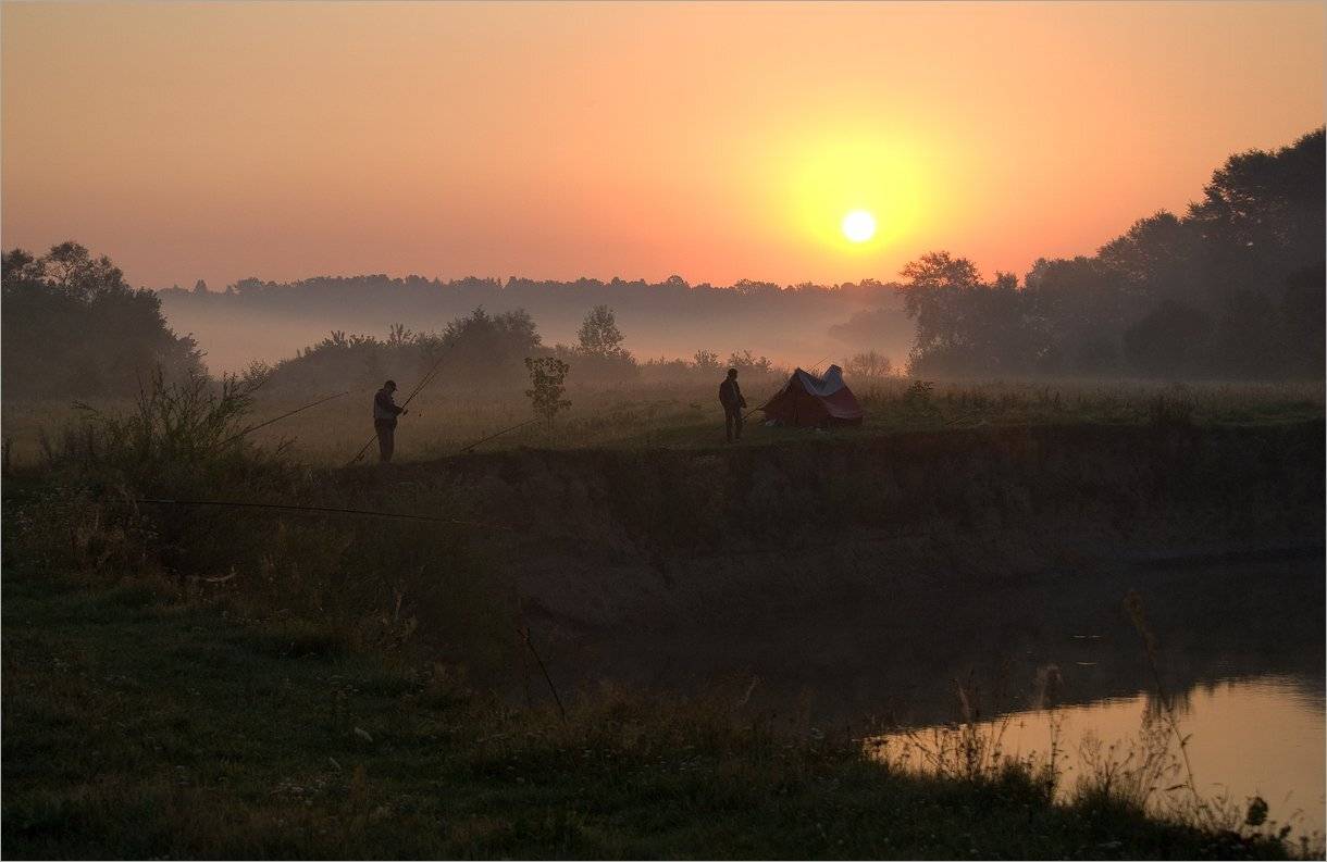 , Николай Шахманцир