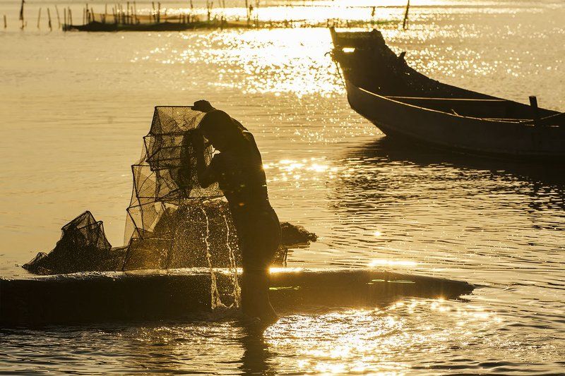 Giặt lưới ! фото превью