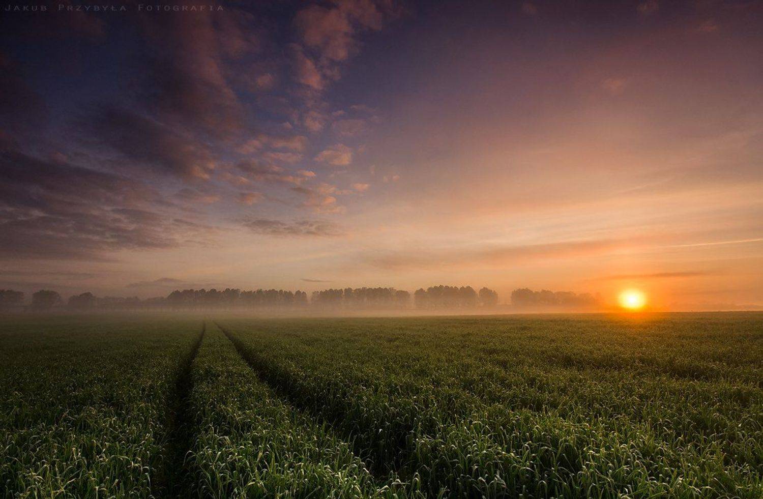 Fog, Jakub przybyla, Jakub Przybyla